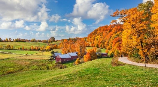 Autumn Colors in New England