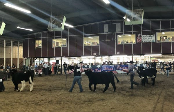 Red Wave Livestock Show