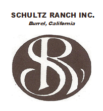 Schultz Logo