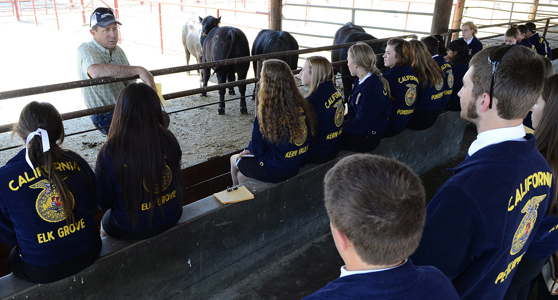 Randy Perry working with FFA students at state field day unit at campus beef unit.
