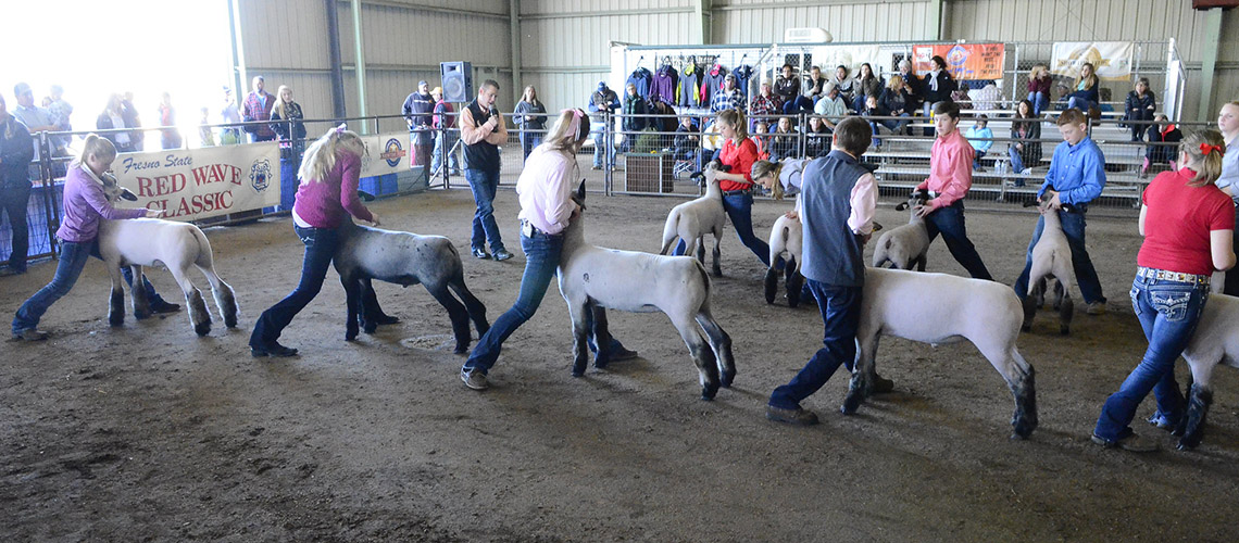 Red Wave Classic Junior Show (Sheep/Goats)