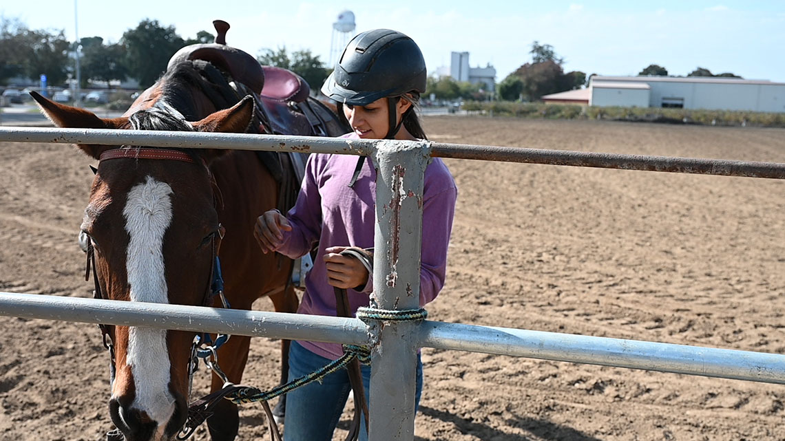 Jacquelynne Lau working with quarter horse at the at the campus equine unit