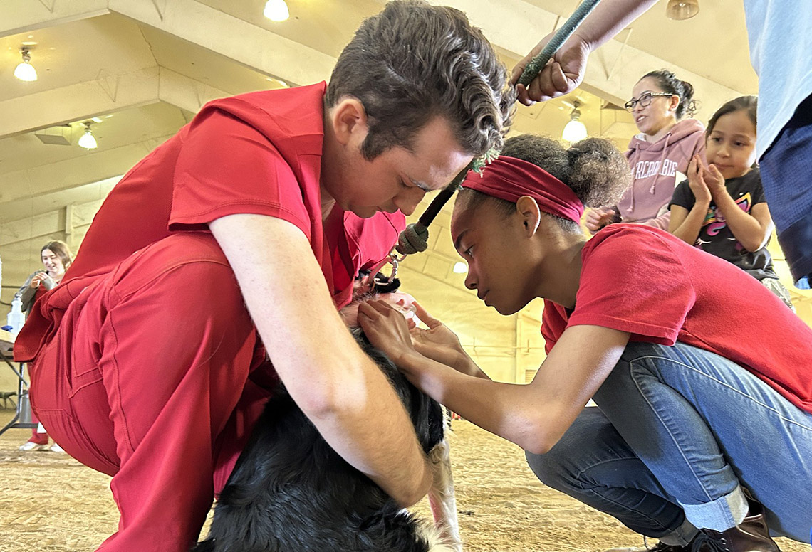 Zachary Padilla and pre-vet club member vaccinate a dog at an annual clinic on campus.