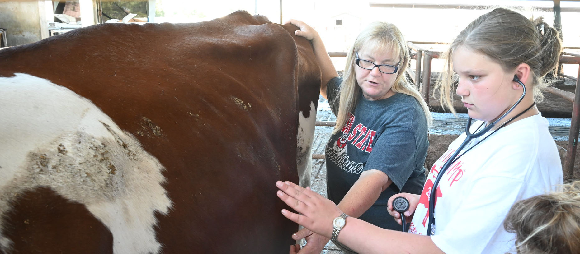 Kids learn about the dairy industry from campus veterinarian Gayle O’Bannon at the California Holstein Association’s Youth Cow Camp hosted by the Fresno State campus dairy