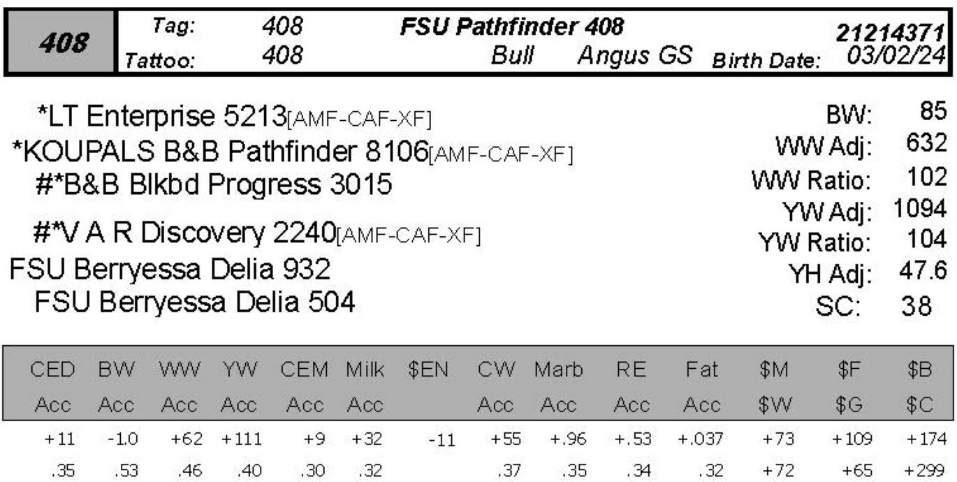 bull sale FSU 408 data