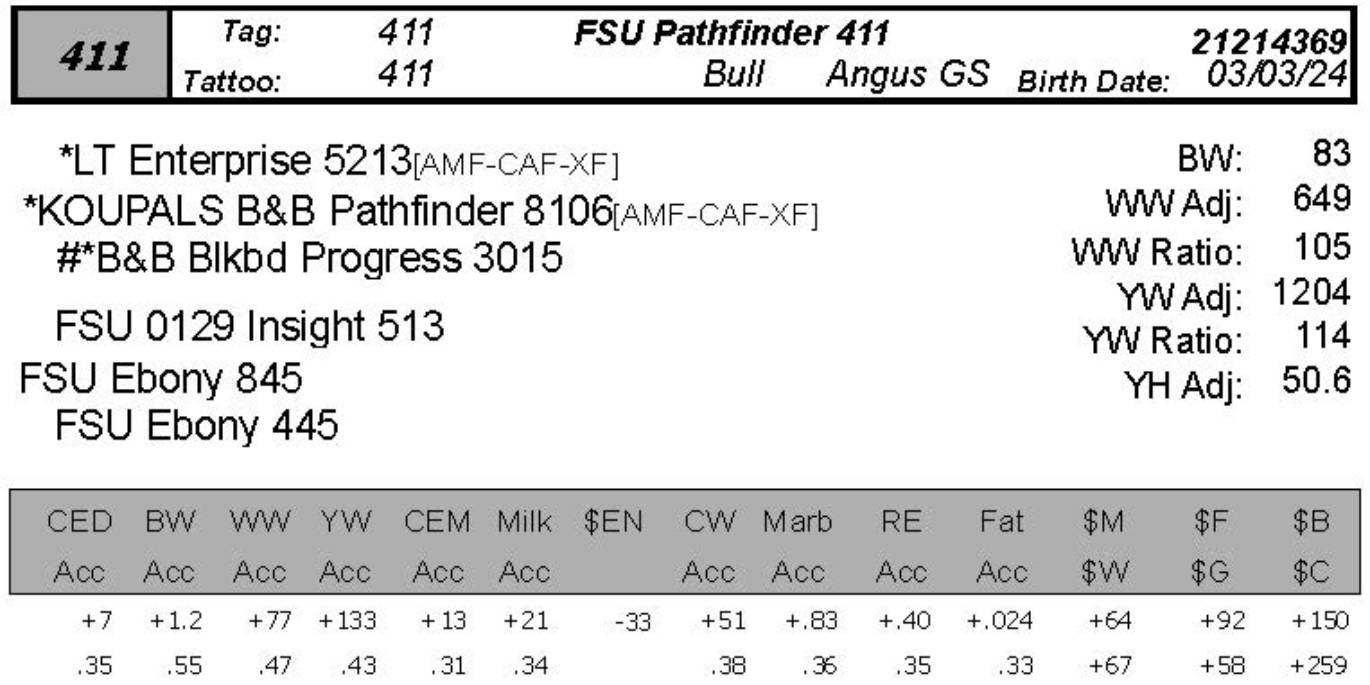 bull sale data fsu 411
