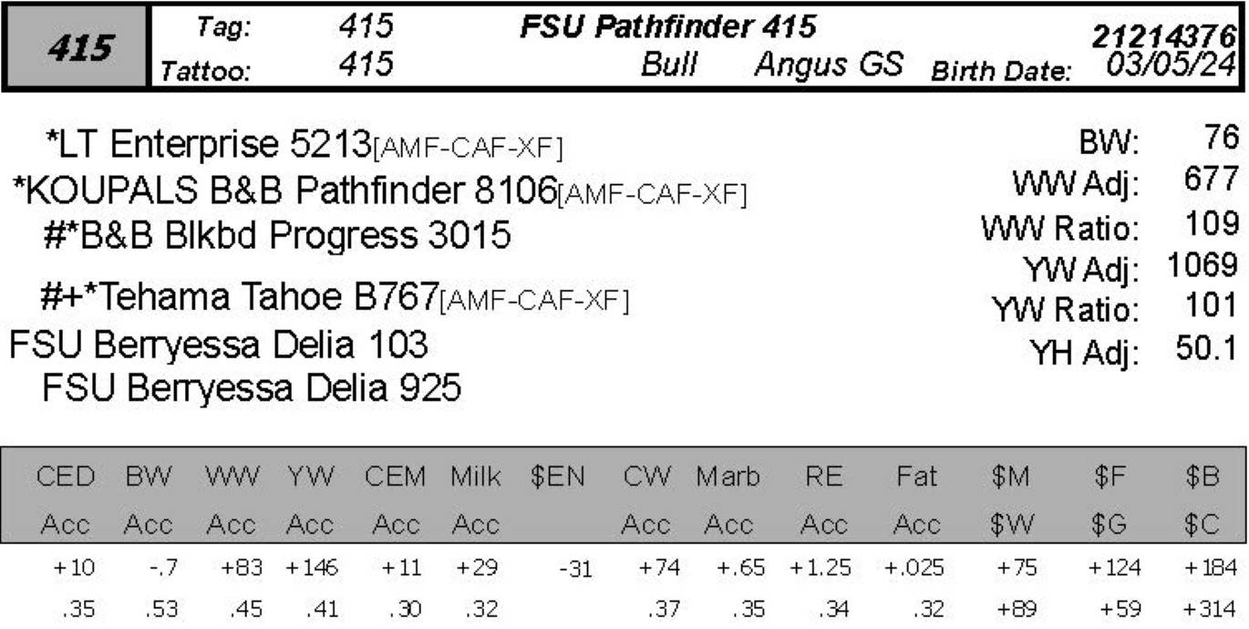 bull sale photo FSU 415 data