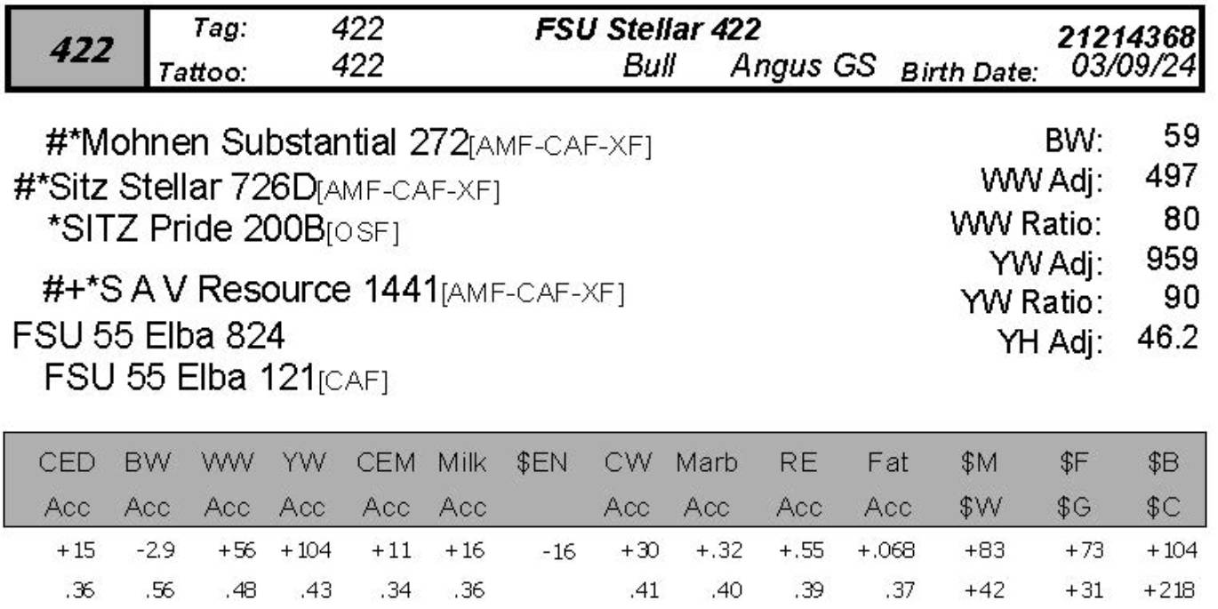 bull sale photo FSU 422 data