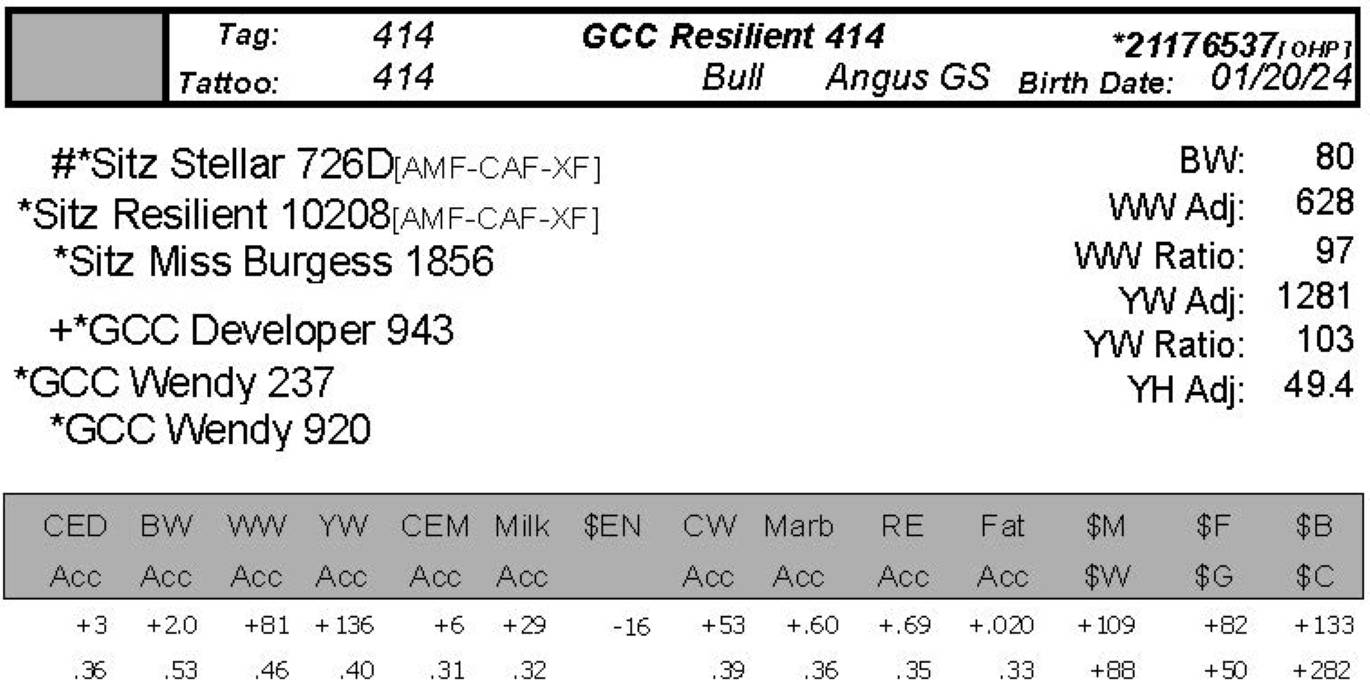 bull sale data gcc 414