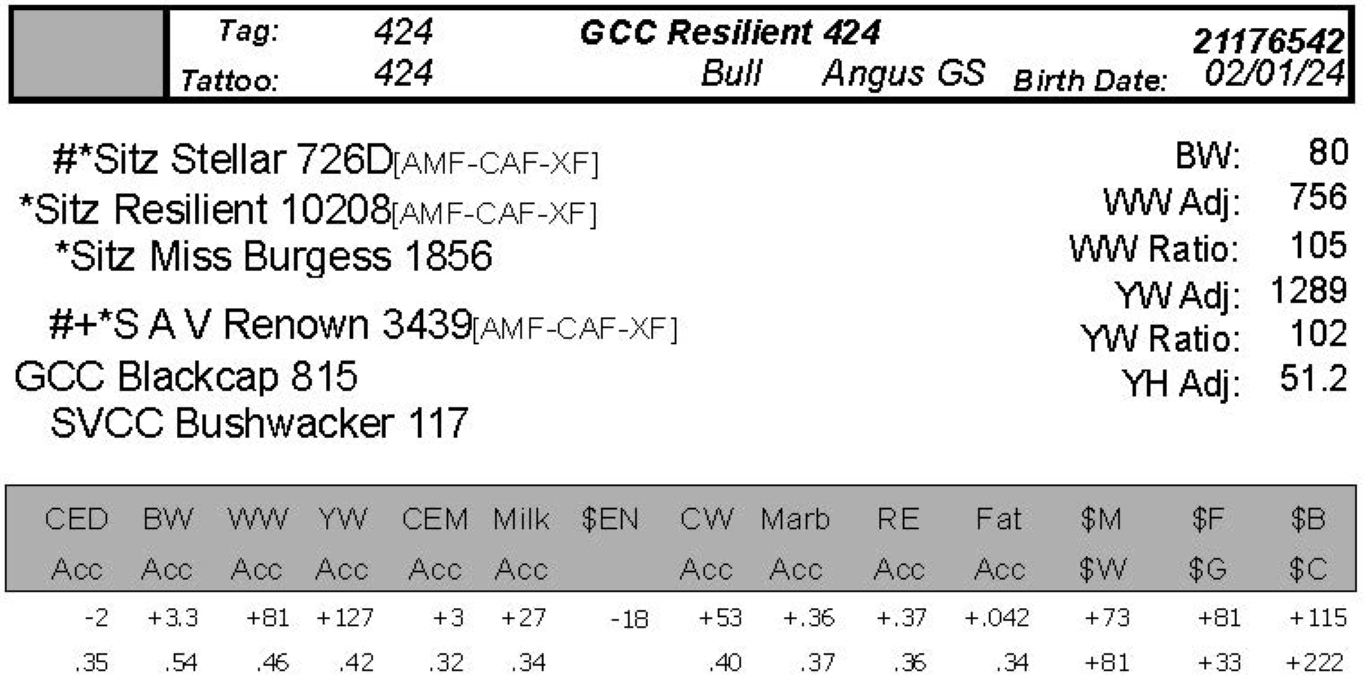 bull sale data gcc 424