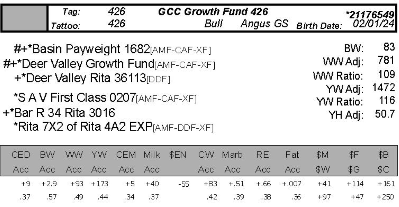 bull sale data gcc 426