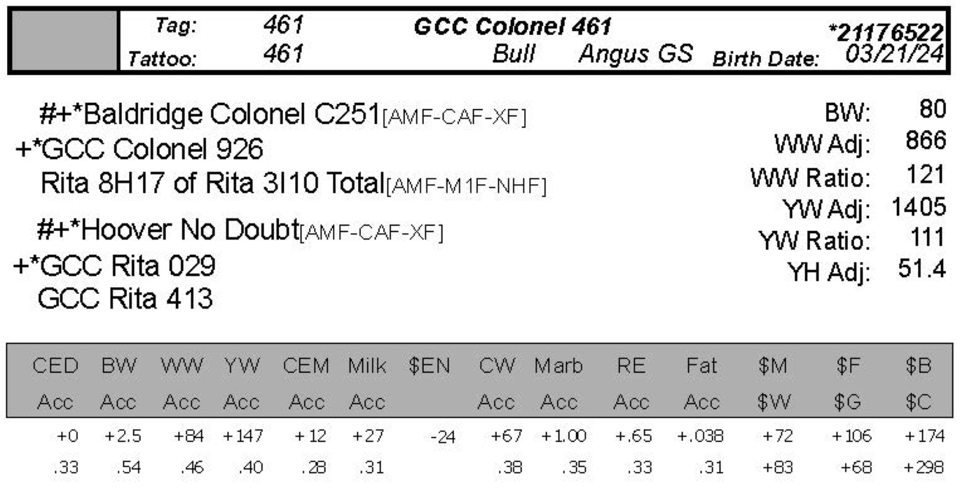bull sale data gcc 461