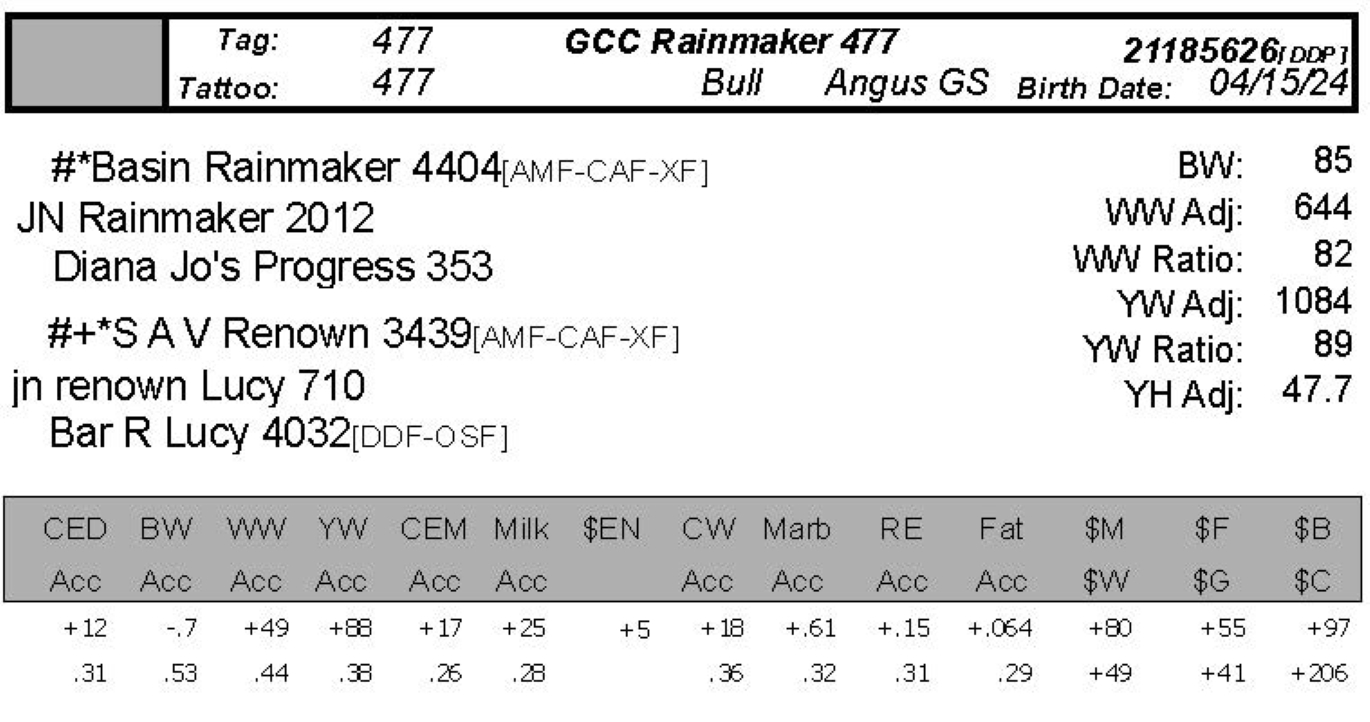 GCC 477 Bull info