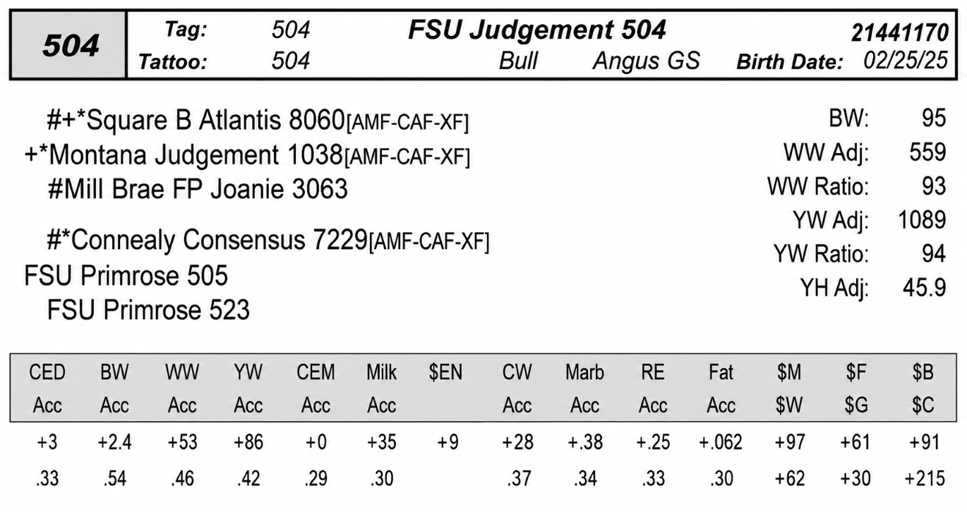 bull sale FSU 504 data