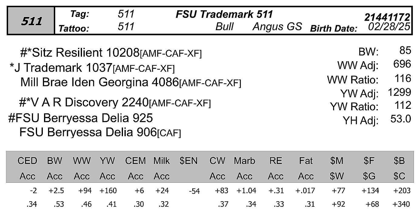 bull sale data fsu 511