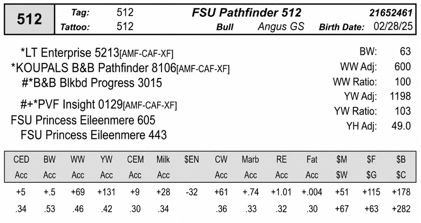 fsu 512 data image