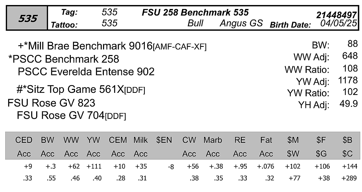 bull FSU 535 data sheet