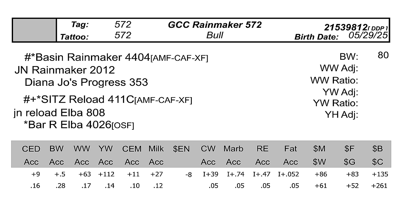 bull sale data gcc 572
