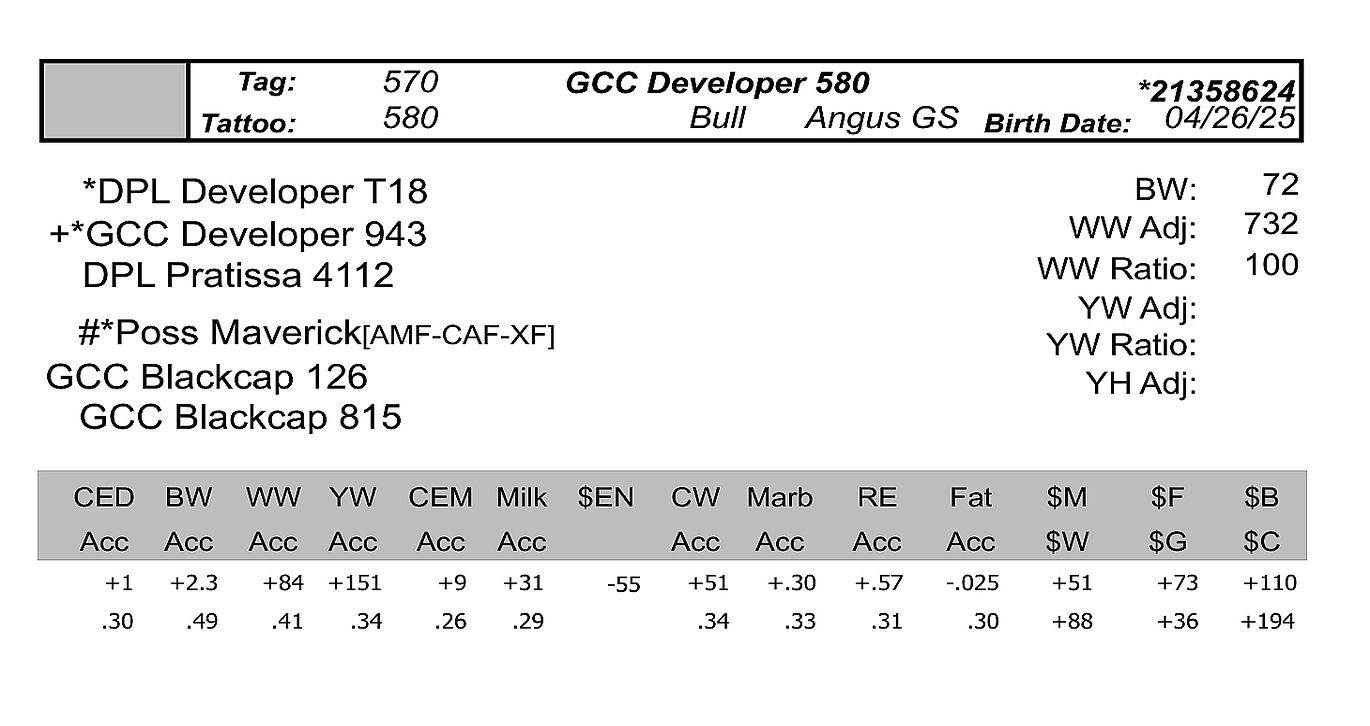 bull sale data gcc 580