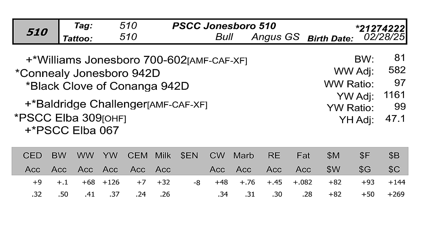 bull sale data pcc 510