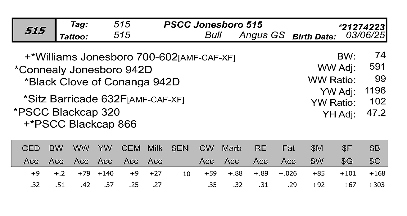 bull sale data PCC 515