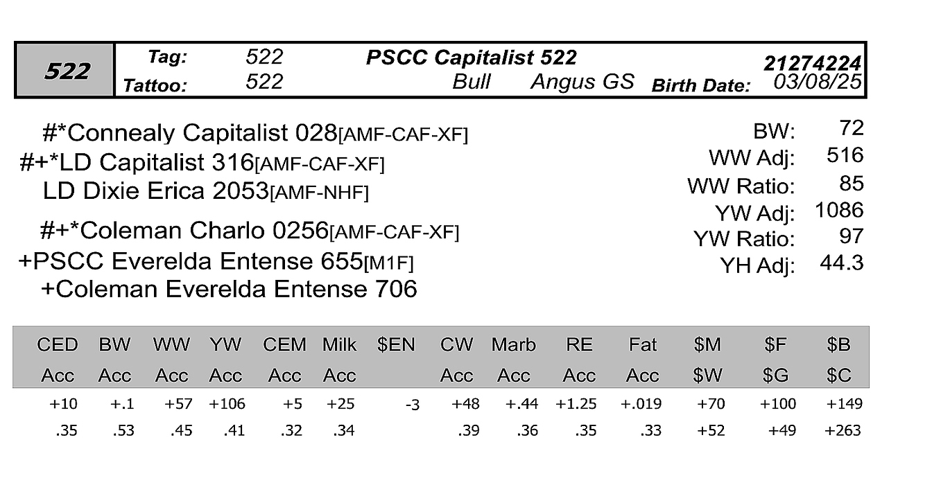 Bull PCC 522 data info