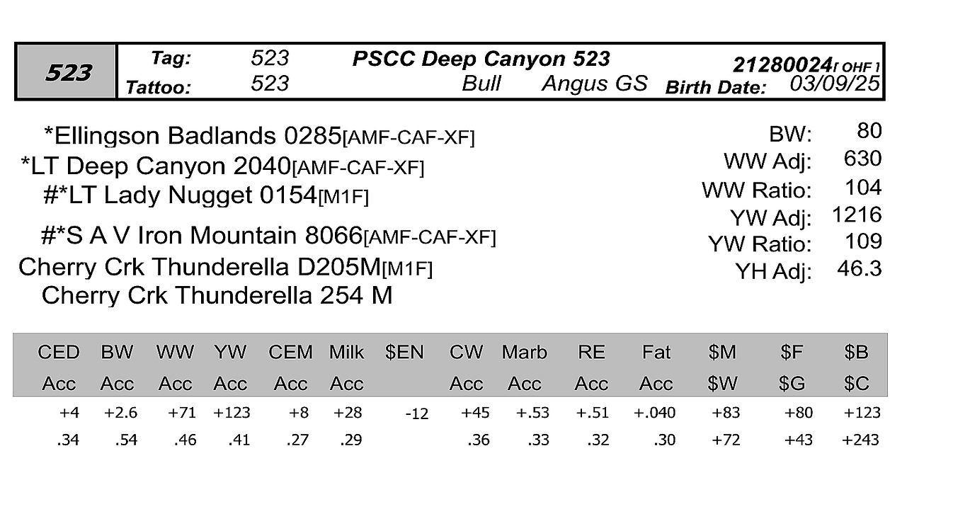 PCC 523 Bull info