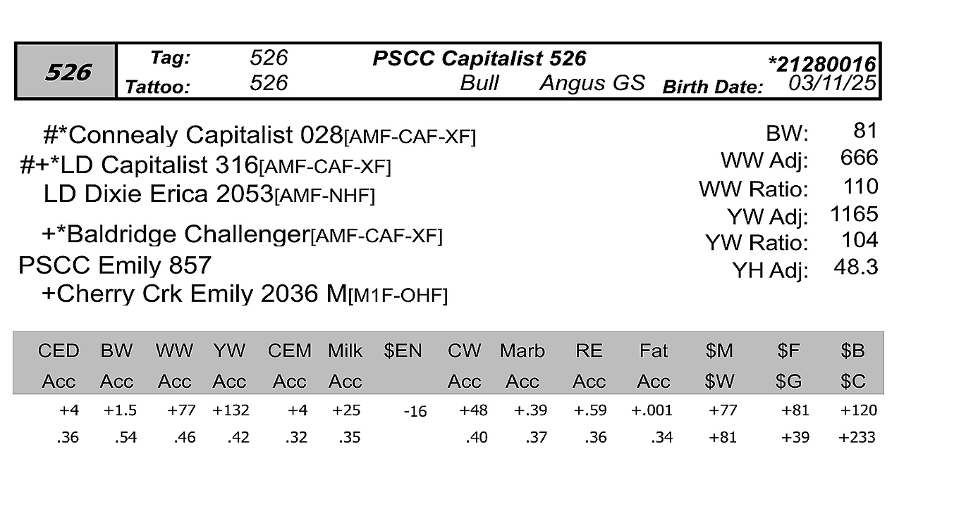 PCC 526 Bull info