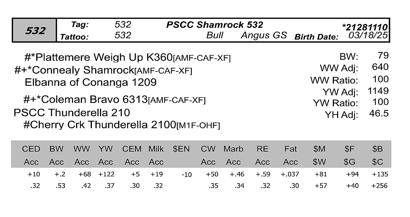 bull sale data PCC 532