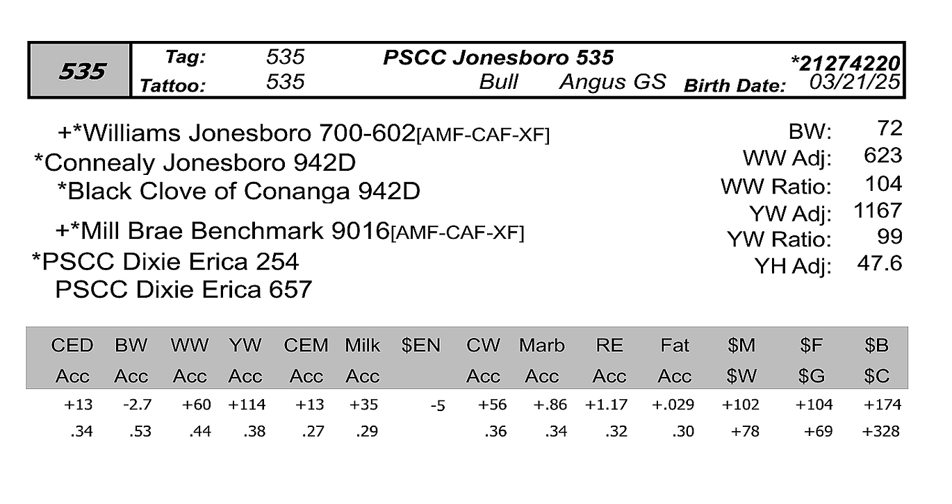 Bull 535 Info