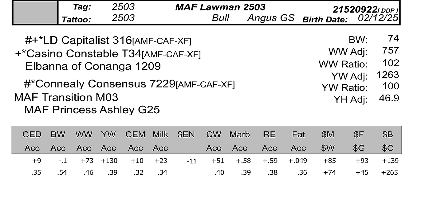 sma-bull2503-data
