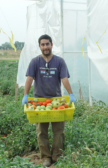 student Bardia Dehghan Manshadi holding basket of tomatoes