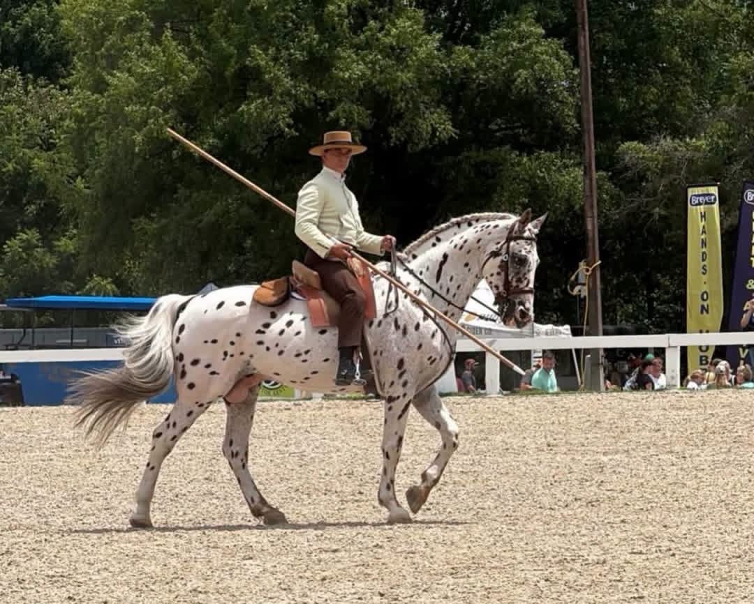Alberto Conde Riding 