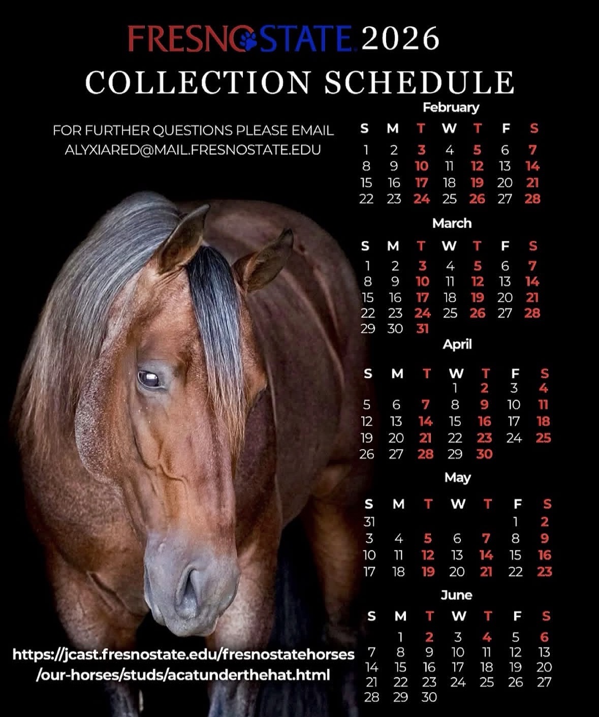 Virgil collection calender for the 2026 breeding season