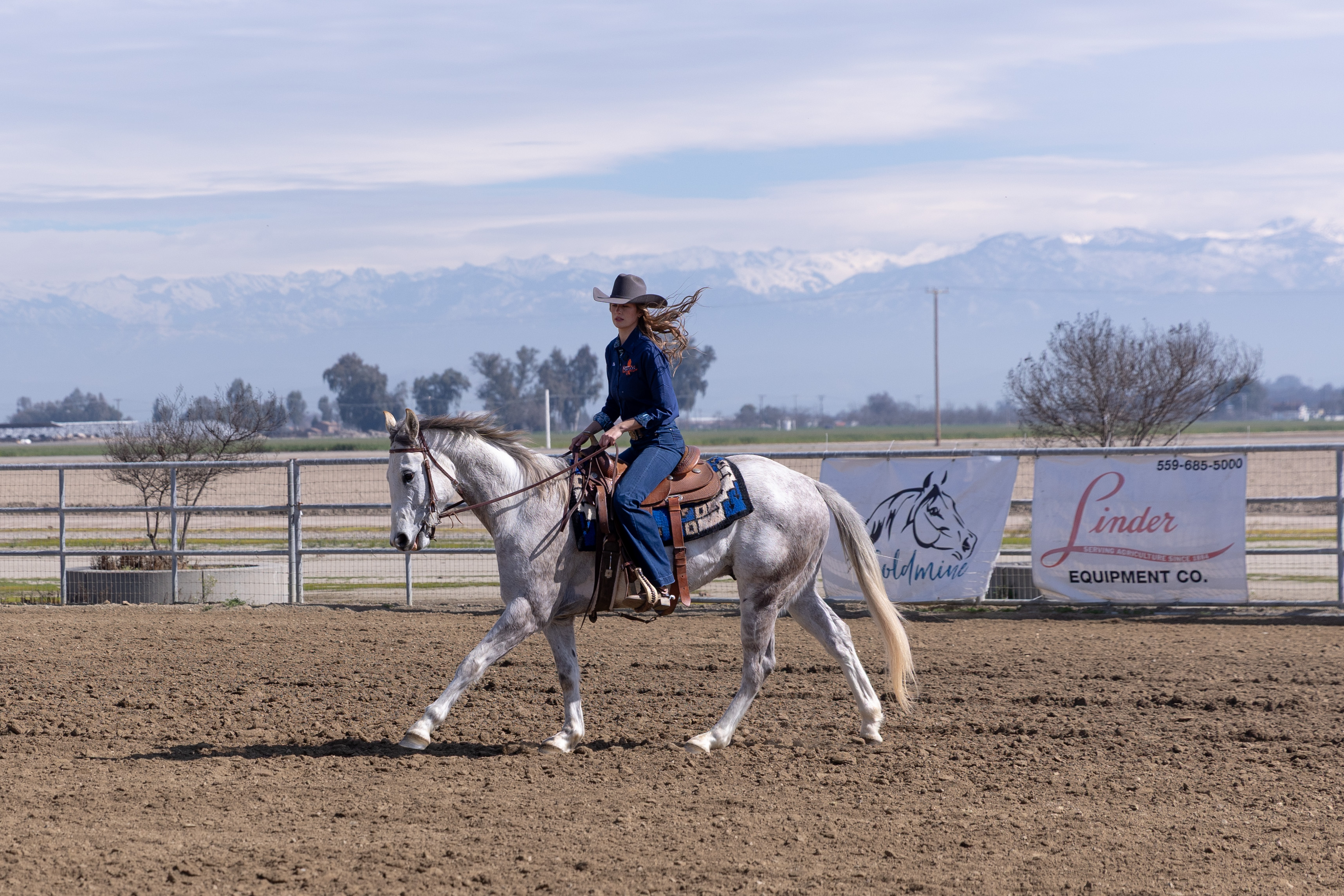 COS horse Goose being ridden in arena