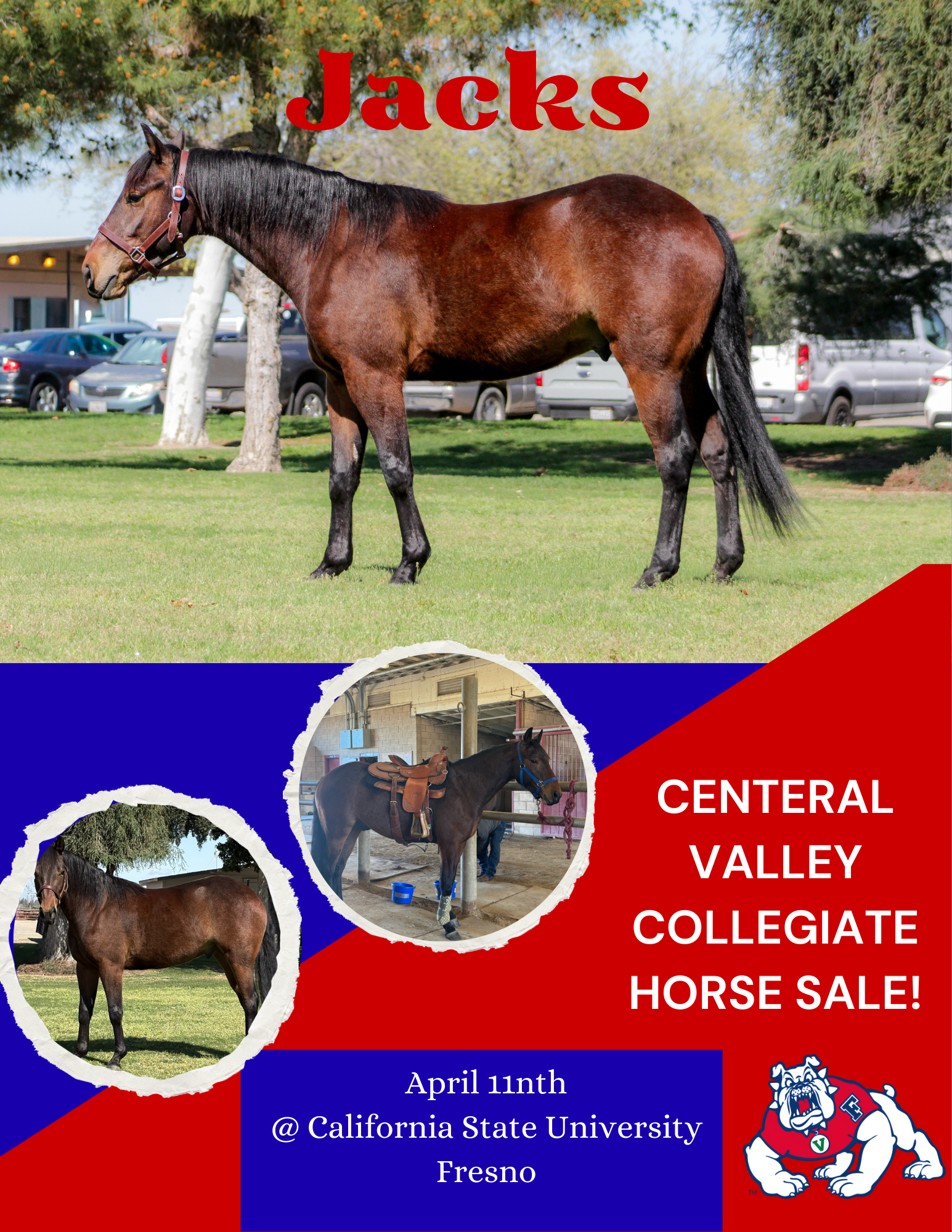 Collage of FS horse Jacks