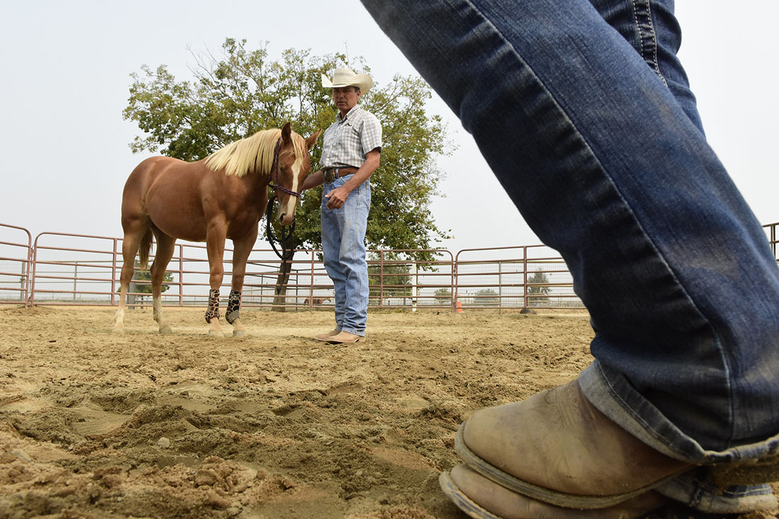 Faculty Jason Contreras training a colt at campus unit.