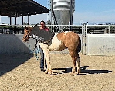 Reedley College desensitizing Jericho