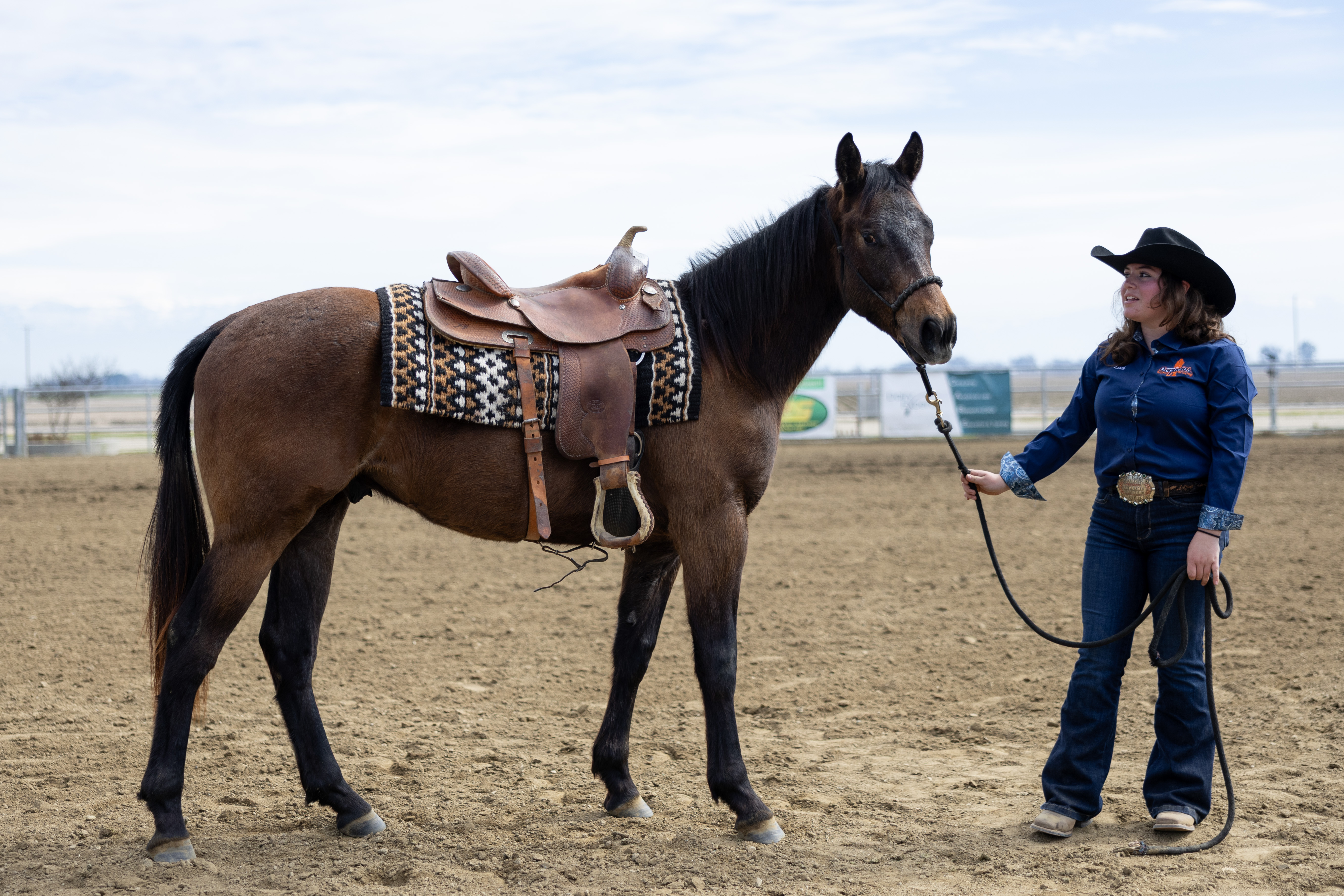 COS horse Julian posing in arena