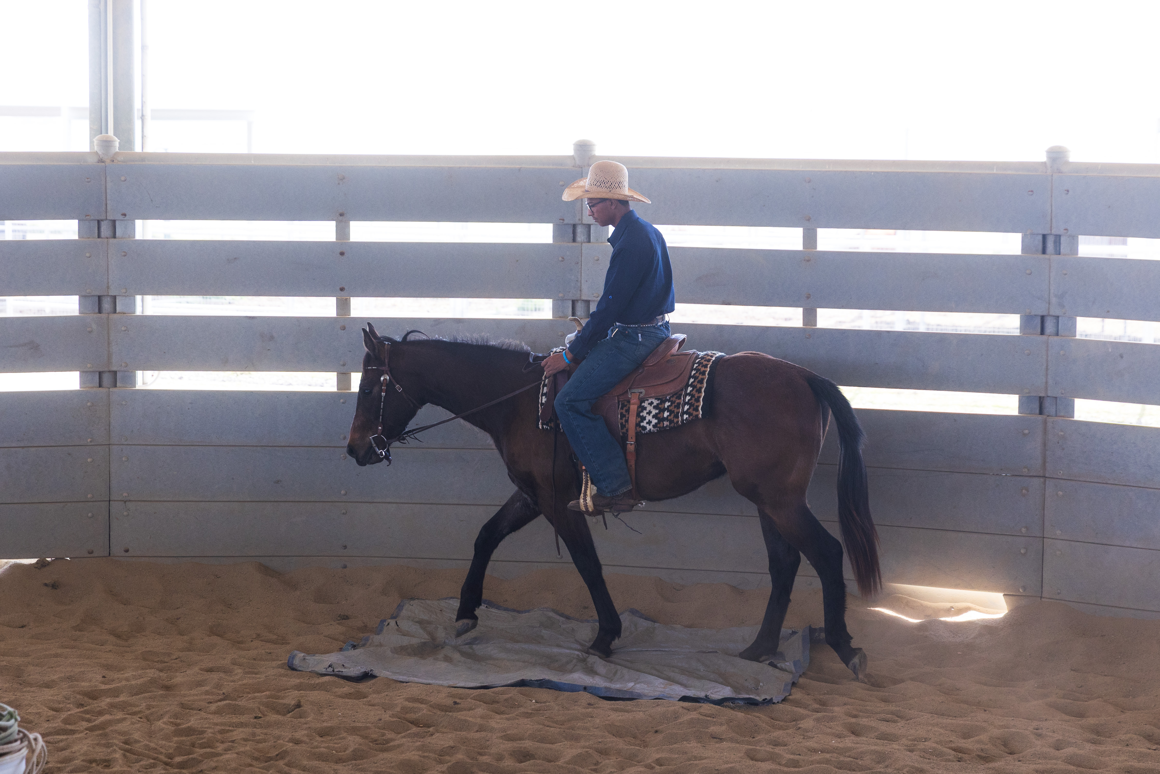 COS horse Julian walking over tarp