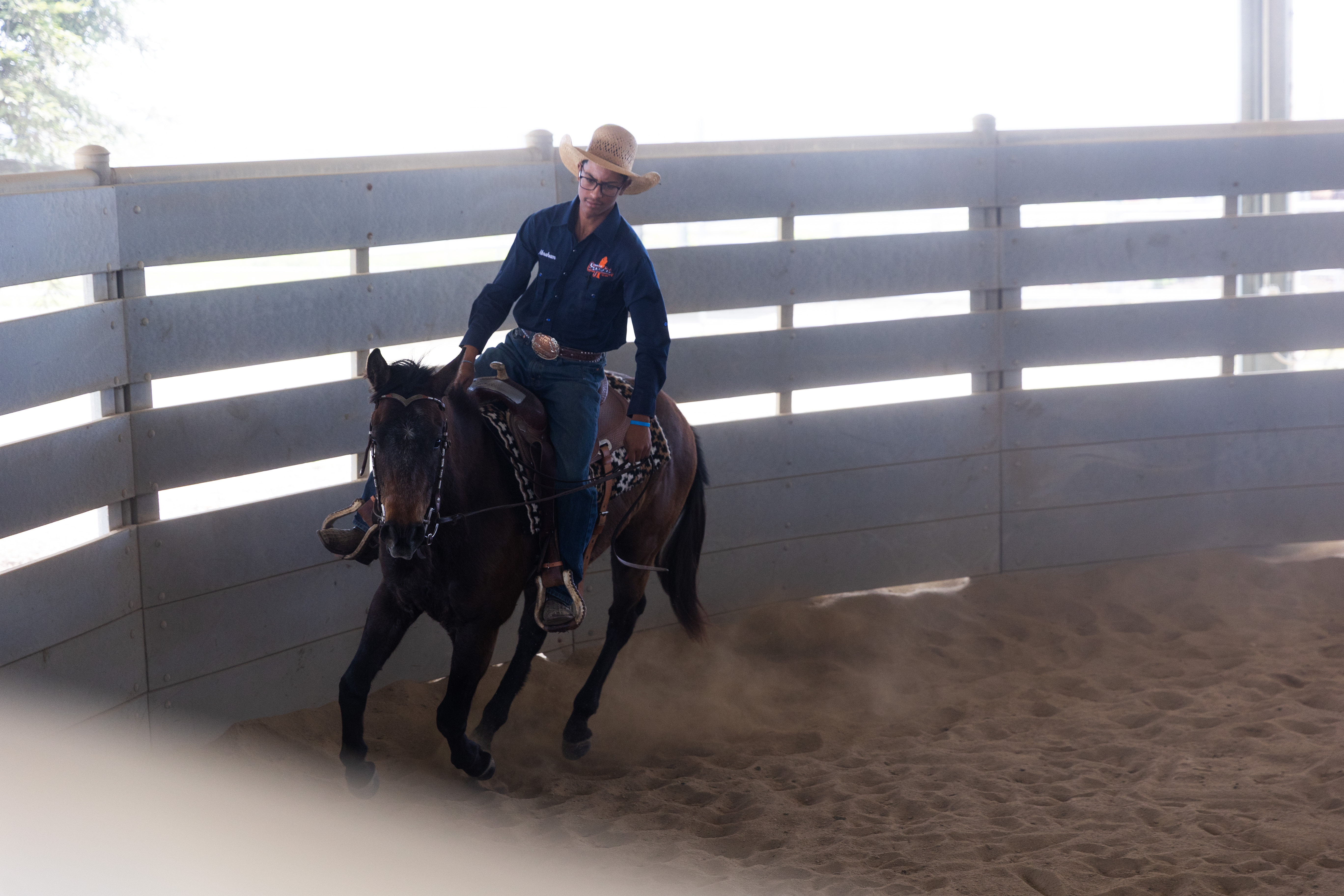 COS horse Julian being ridden in arena