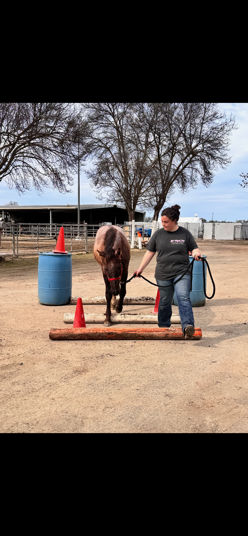 Reedley Colleges horse Memphis going over poles