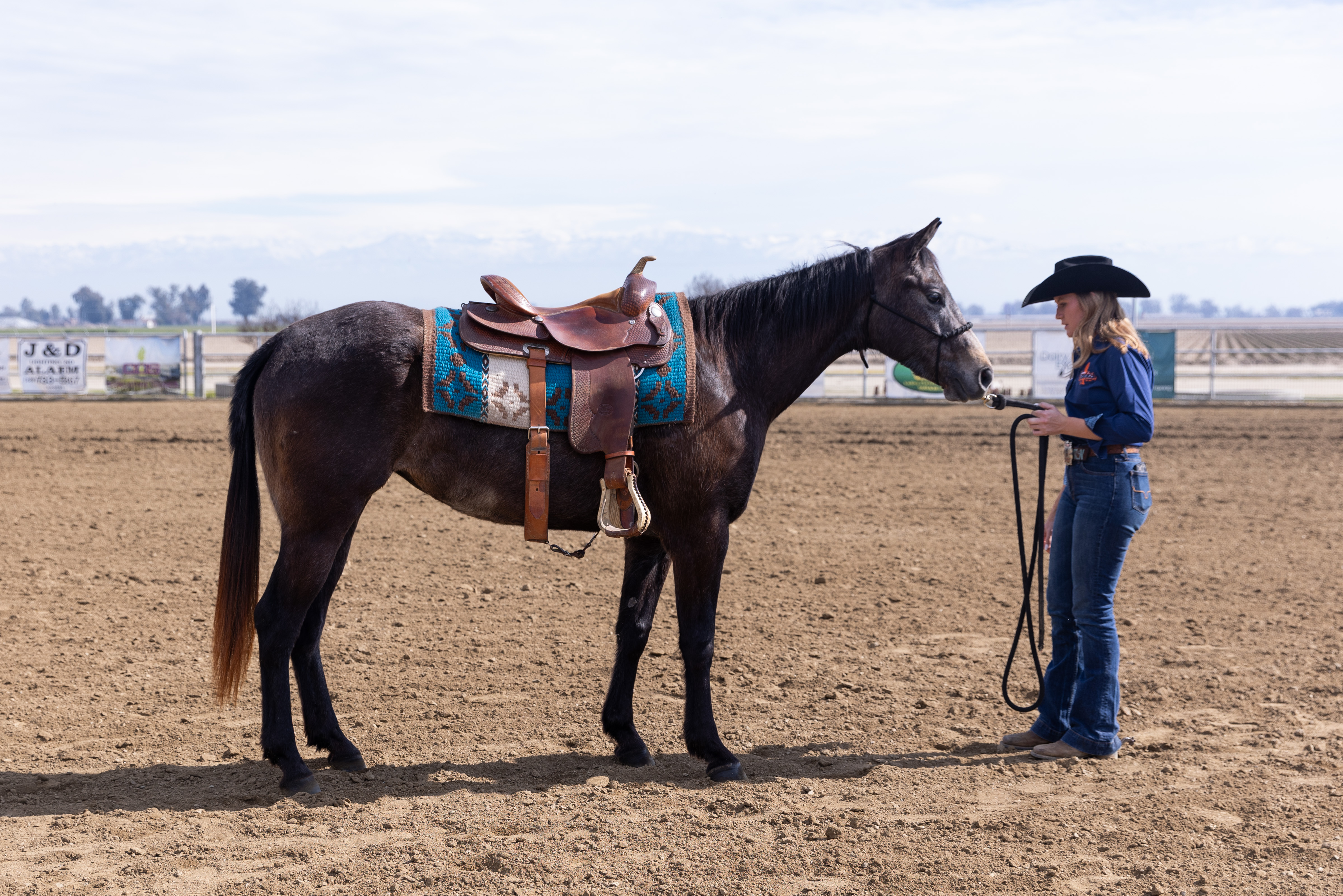 COS horse Nikki posing for photo