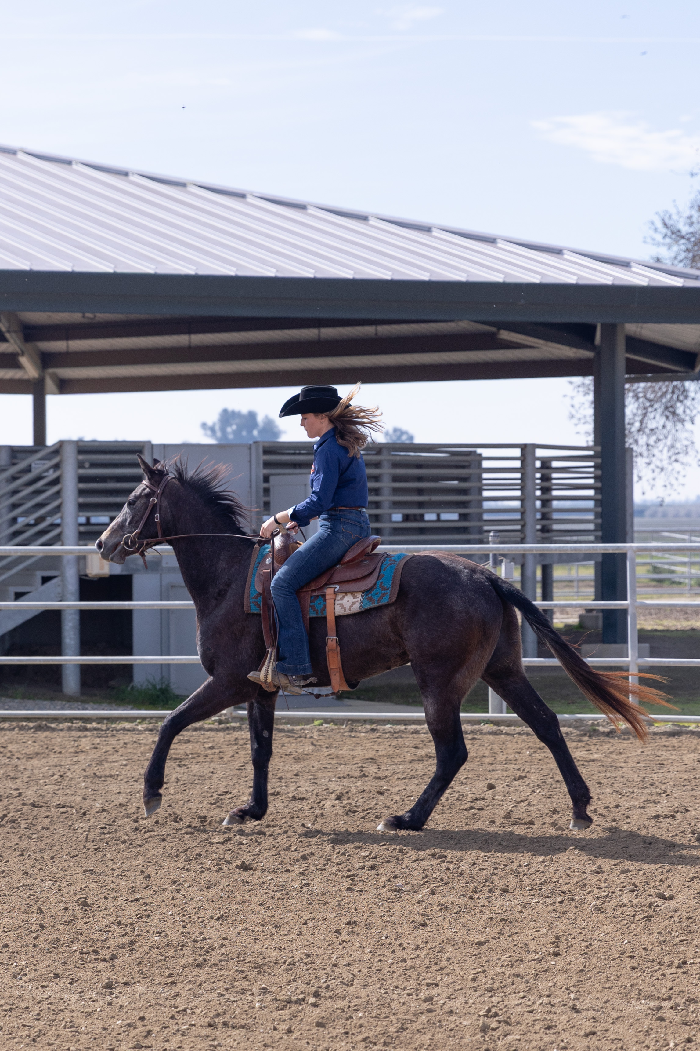 COS horse Nikki being ridden in arena