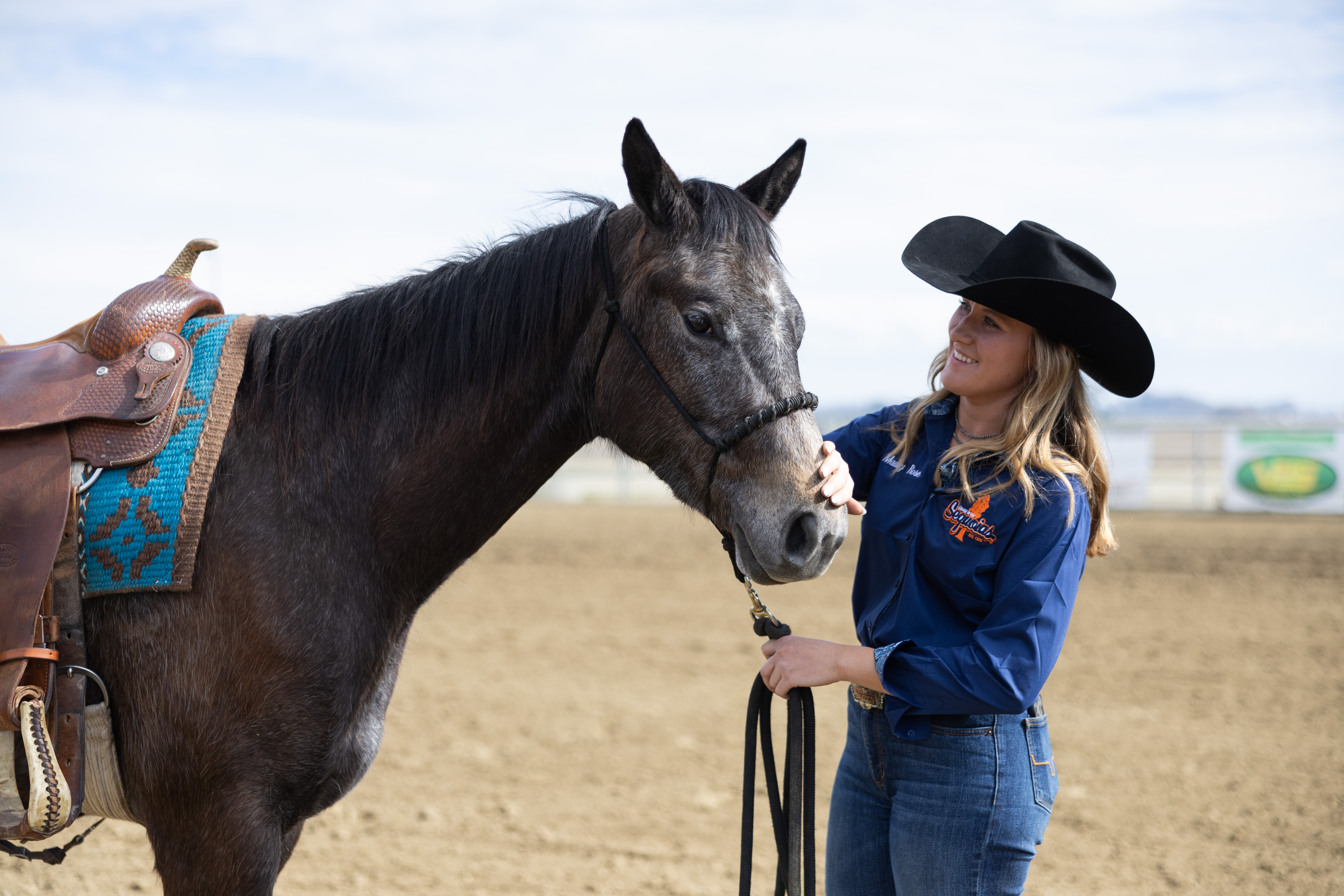 COS horse Nikki posing in arena