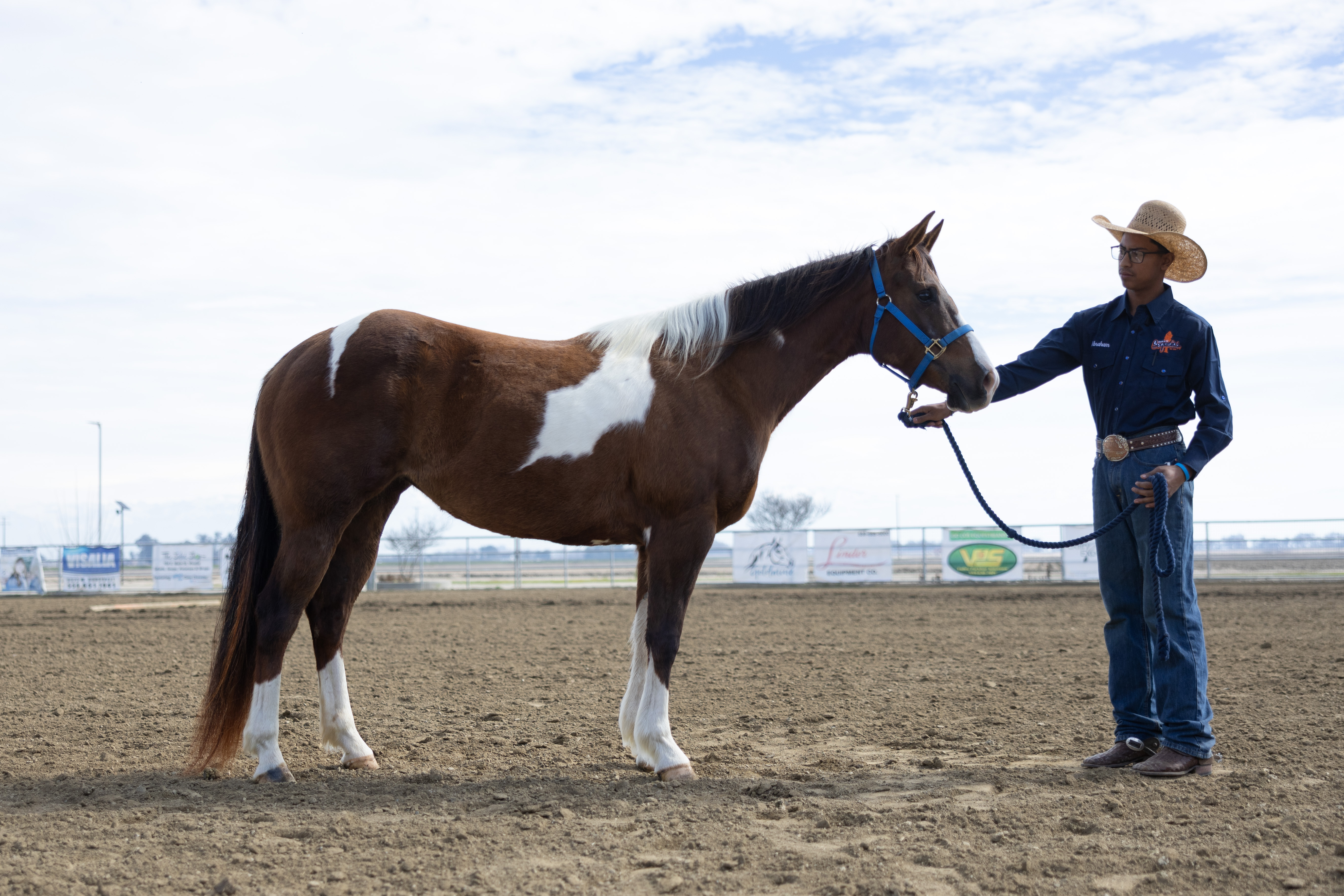COS horse Tallula posing in arena