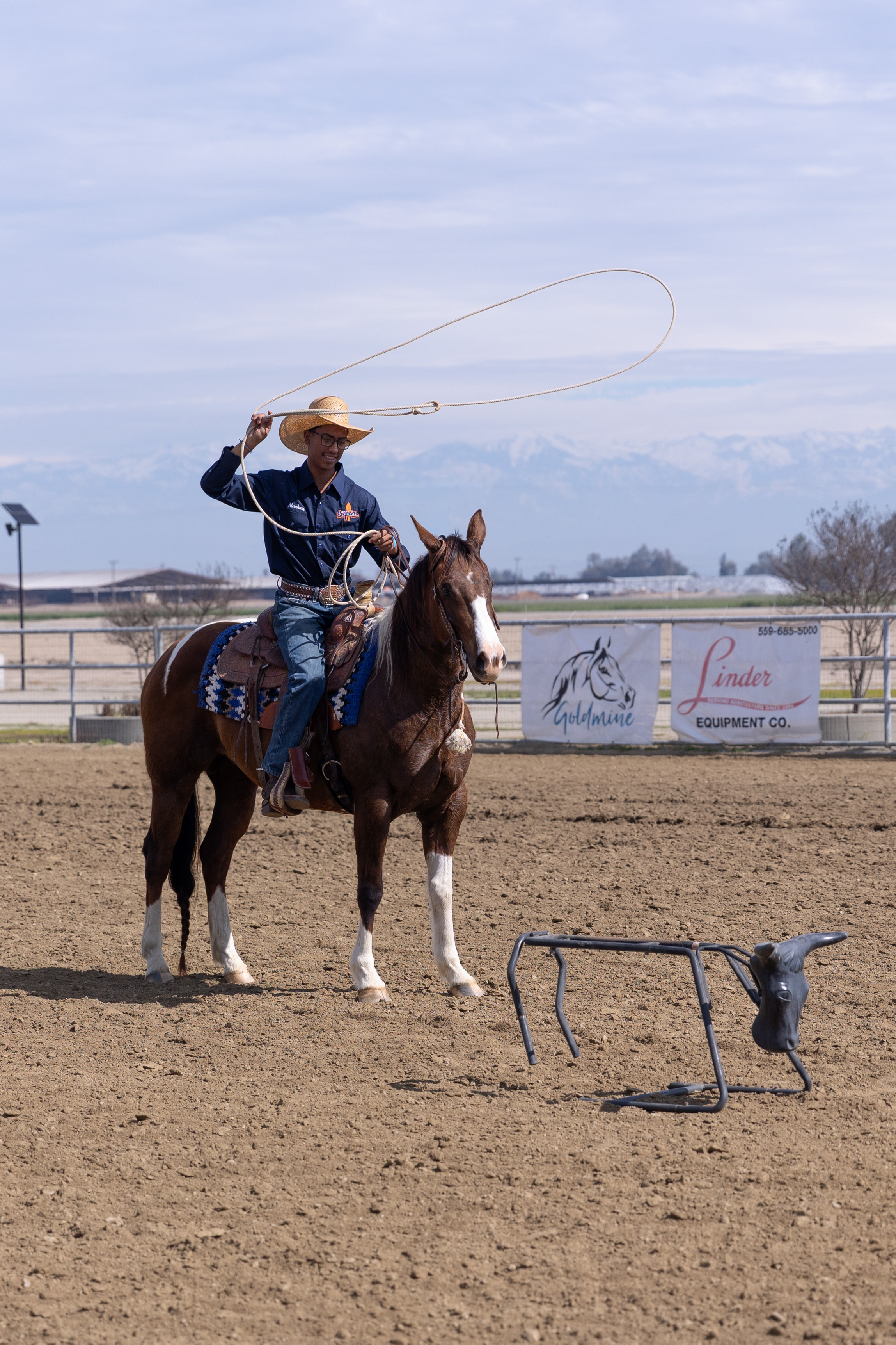 COS horse Tallula roping a dummy