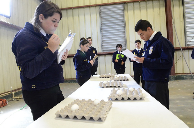 Students observing eggs inside the poultry unit