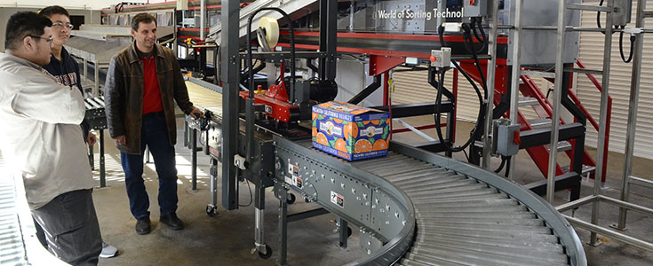 Bee Sweet Citrus Fresh Fruit Processing Line