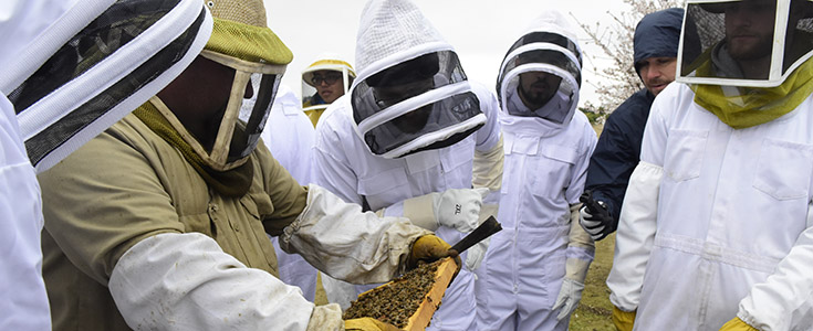 beekeeping class